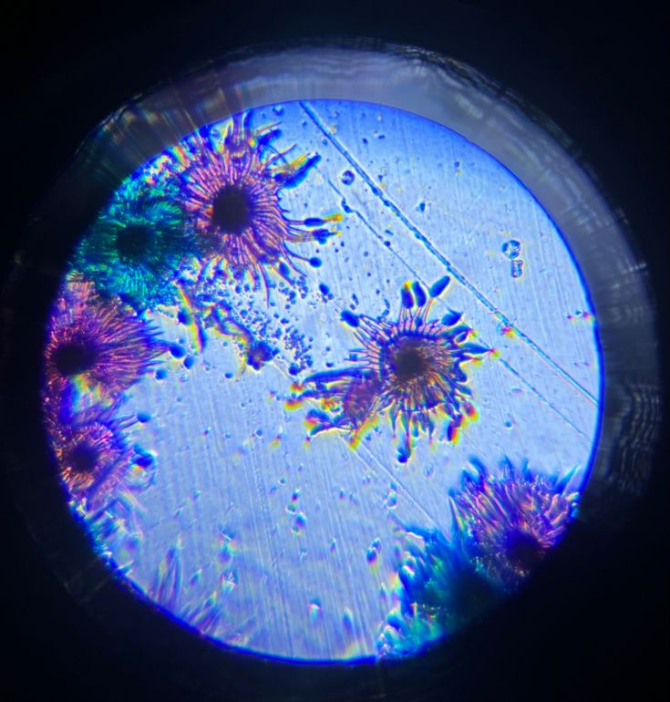 an image of the inside of a cell phone with water droplets on it and purple flowers in the center