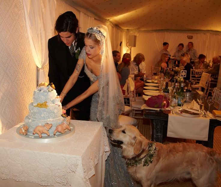 a bride and groom are cutting their wedding cake with a dog beside them at the table