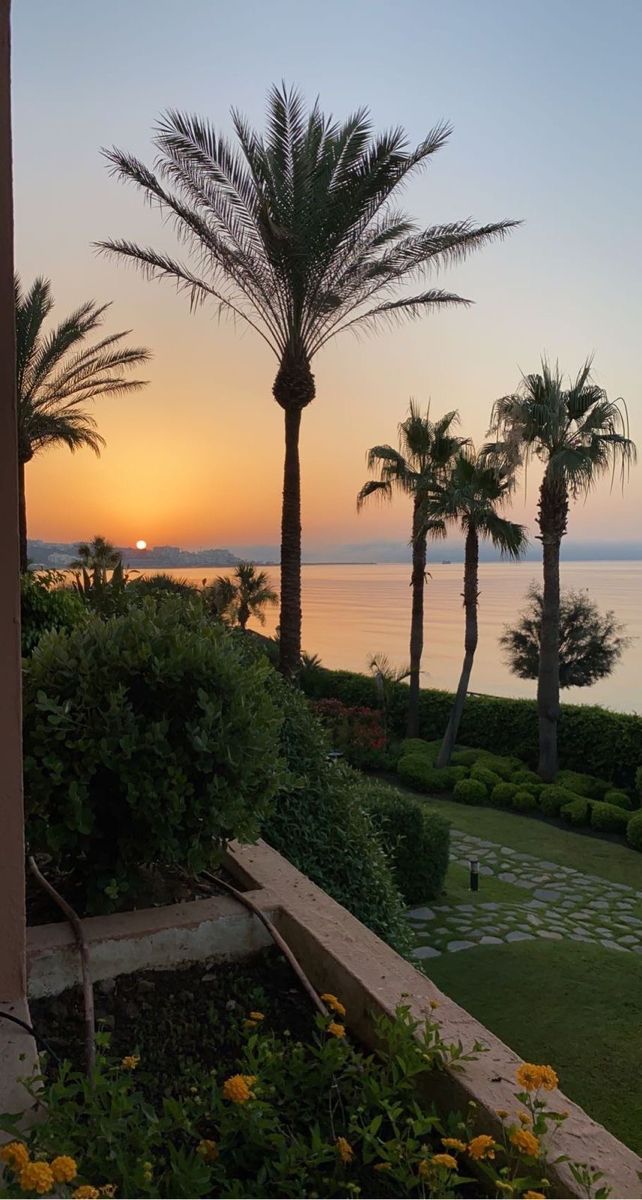 the sun is setting behind some palm trees and flowers in front of a body of water