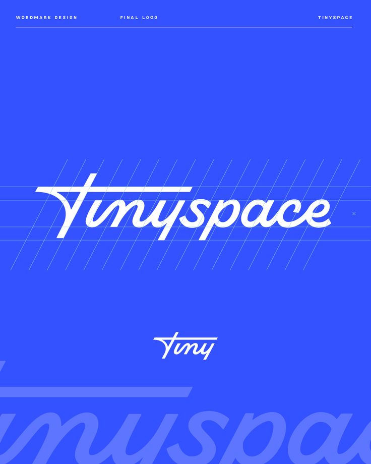 Tinyspace wordmark logo design on blue background Wordmark Logo Typography, Graphic Moodboard, Minimal Logos Inspiration, Wordmark Design, Wordmark Logos, Logo Design Samples, Wordmark Logo Design, Monoline Script, Portfolio Resume