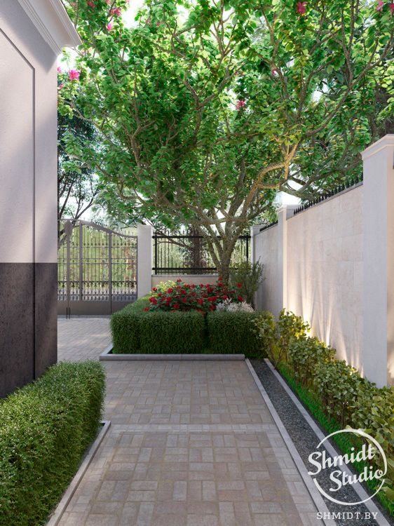 an outdoor walkway leading to a tree and shrubbery on either side of the house