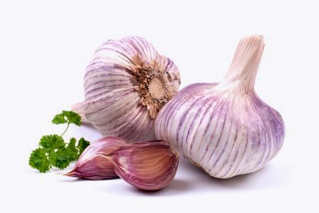 garlic and parsley on a white background