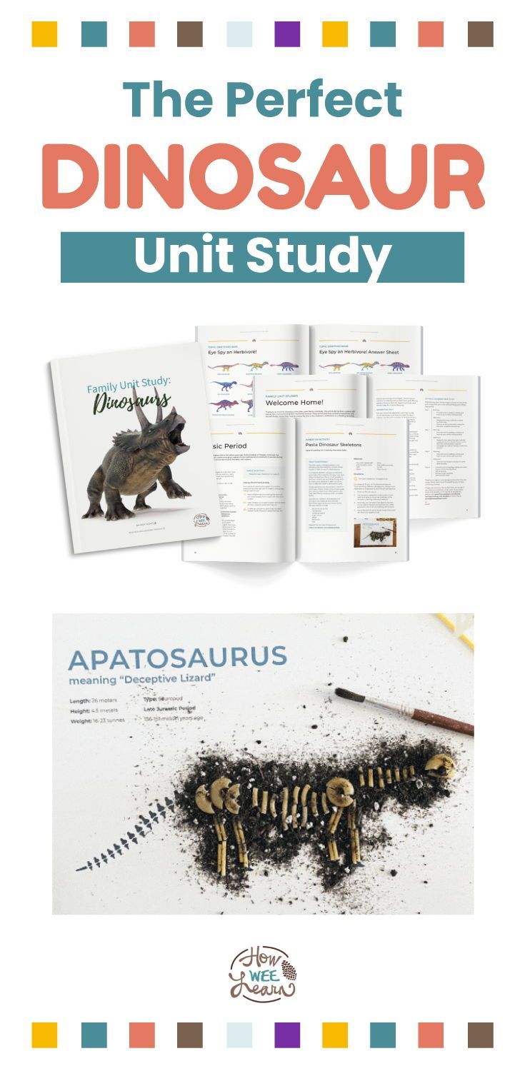 the perfect dinosaur unit study is shown in this graphic file, and includes information about dinosaurs