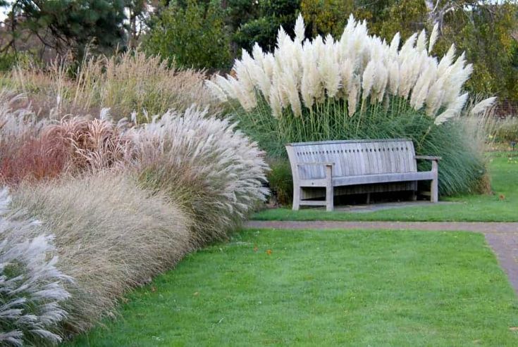 a wooden bench sitting in the middle of a lush green field next to tall grass