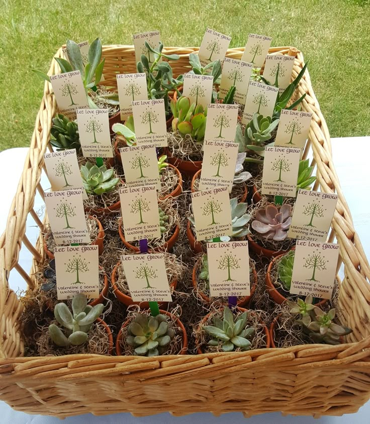 a wicker basket filled with lots of succulents on top of a table