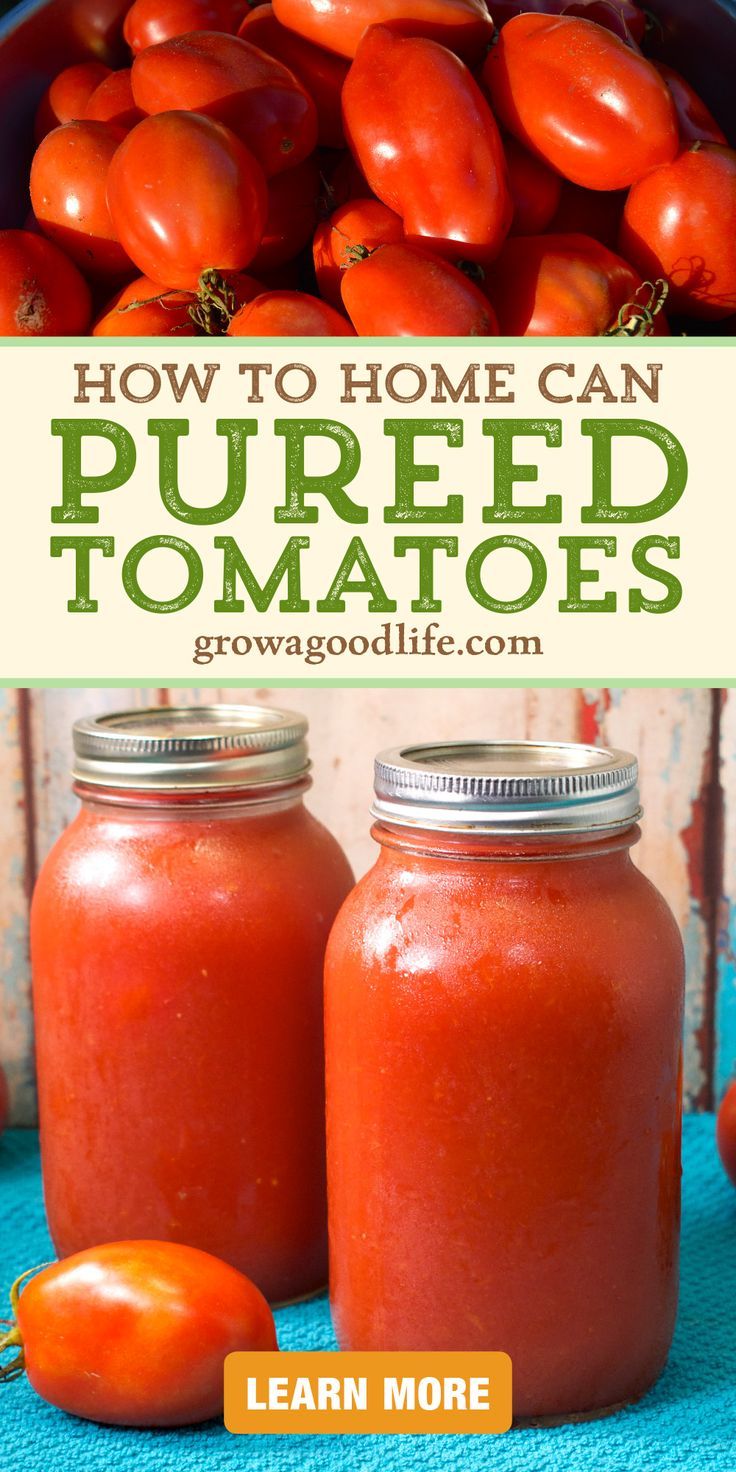 tomatoes in jars with text overlay that reads how to home can pured tomatoes