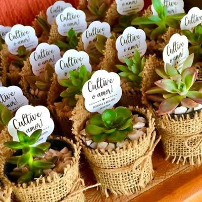 small succulents are placed in burlap baskets with name tags on them