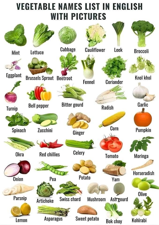 an image of vegetables with names in english