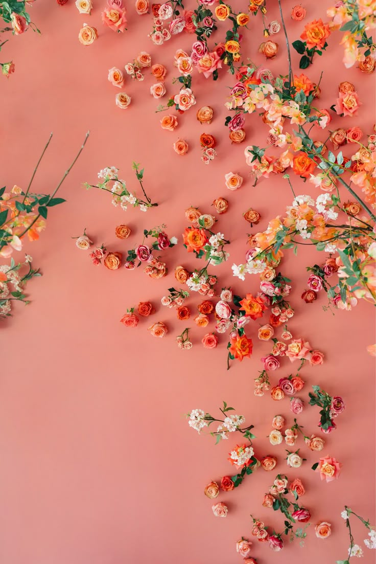 an overhead view of flowers on a pink background