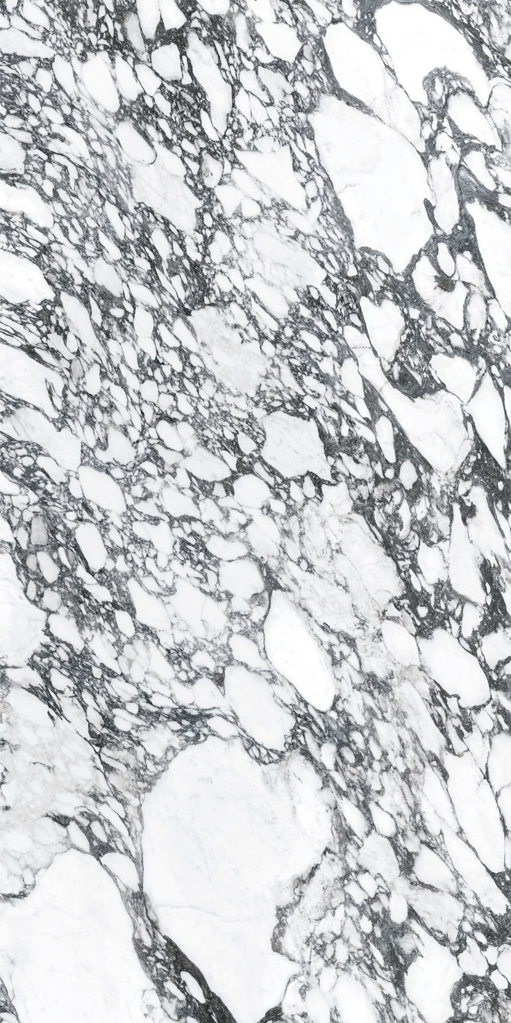 Image is the large-format porcelain slab color in Arabescato. It is white background with detailed great veining Marker Texture, Tiles Texture Seamless, Black Galaxy Granite, Marble Texture Seamless, Galaxy Granite, Porcelain Slab, Terrazzo Marble, Arabescato Marble, Large Tile