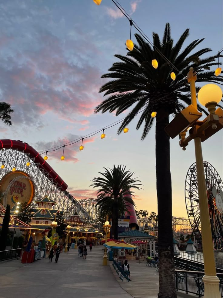 an amusement park at dusk with palm trees and roller coasters in the foreground