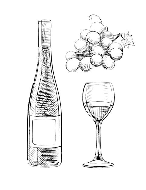 a bottle of wine and a glass with grapes on the side, hand drawn illustration