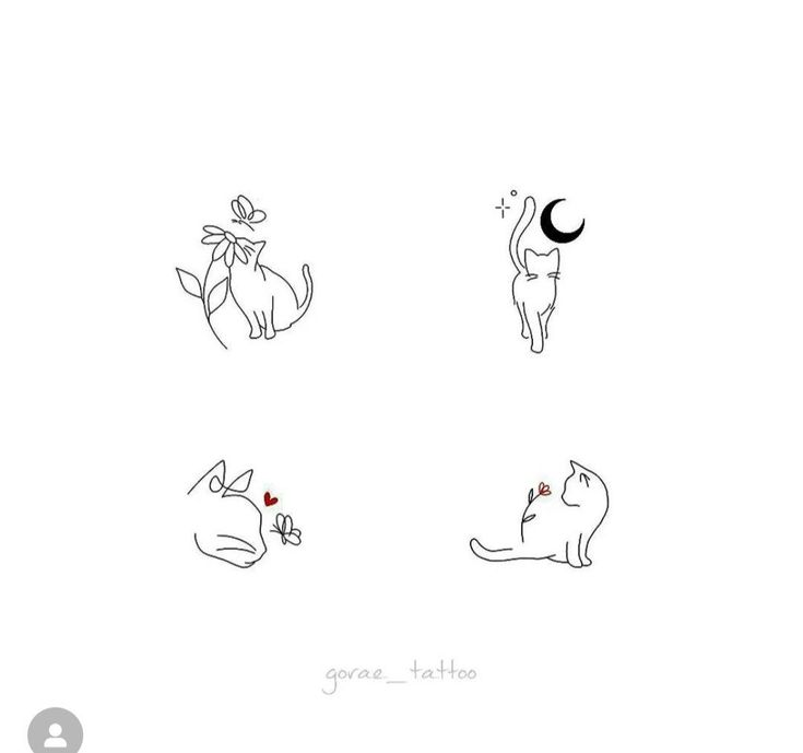 four cats with different shapes and sizes