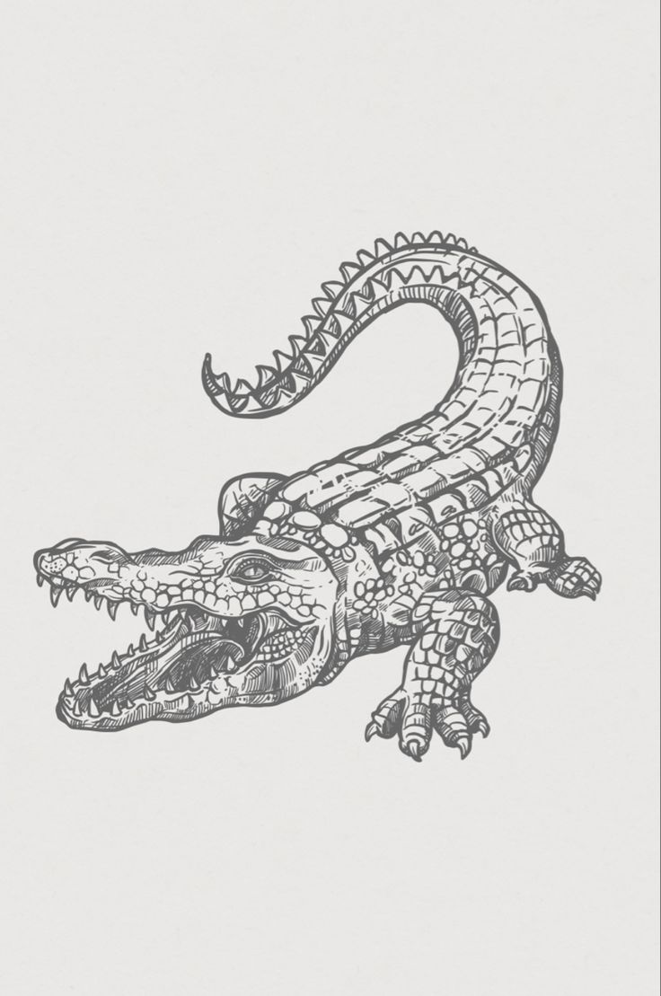 a black and white drawing of an alligator