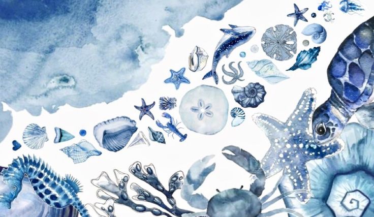 an ocean scene with sea animals and shells painted in blue watercolors on white paper