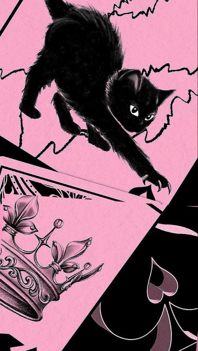 a black cat walking across a pink and black background