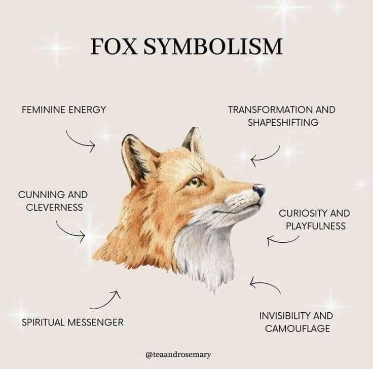 a fox's head with words describing its features