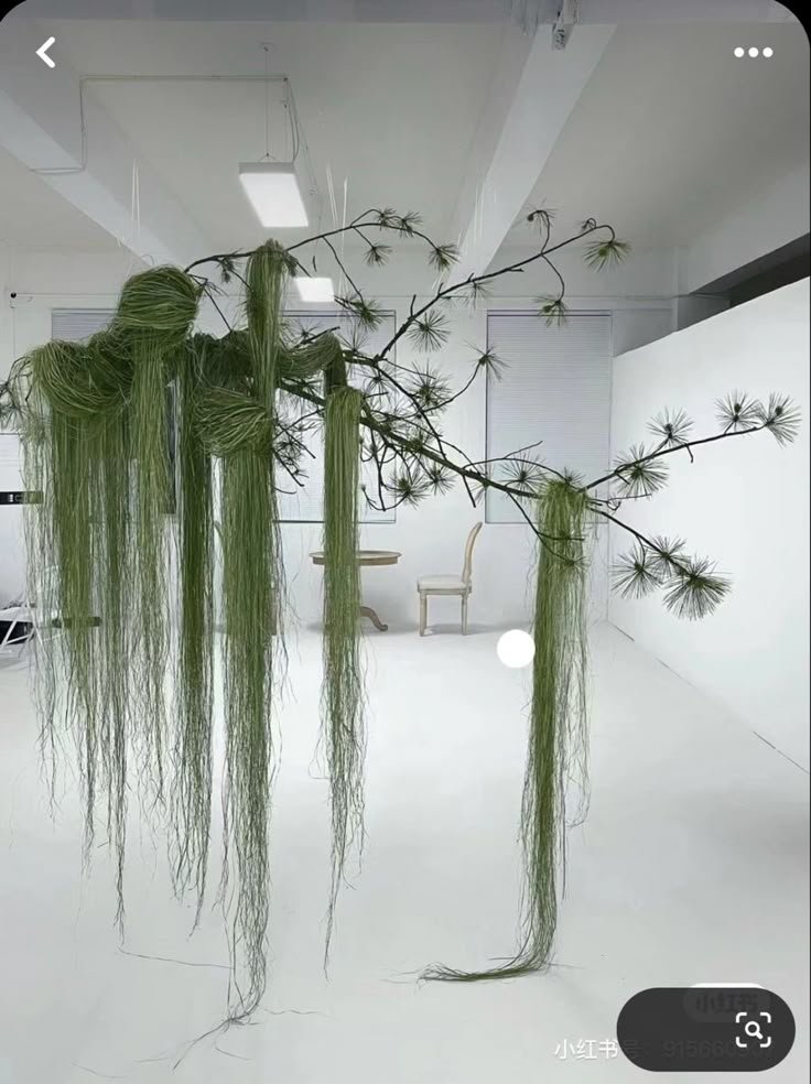 some plants are hanging from the ceiling in an empty room with white walls and flooring