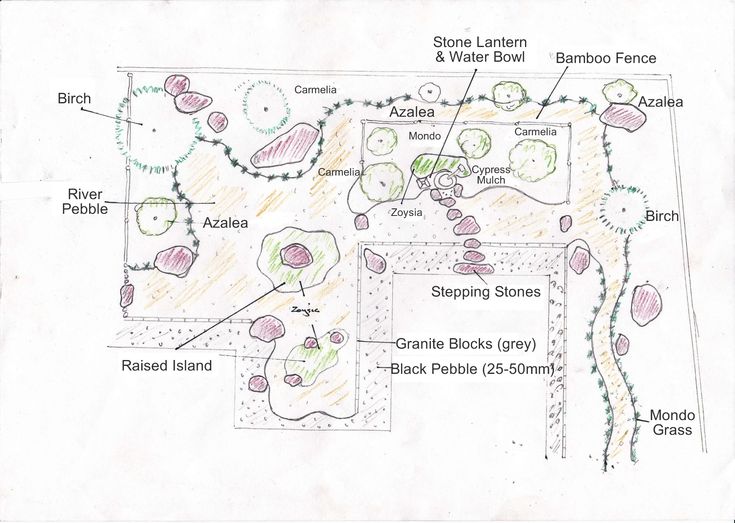 a drawing of a garden with various plants and flowers in it, including trees, shrubs,