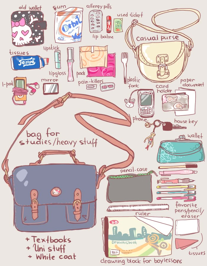 the contents of a handbag are shown in this drawing, including purses and other items