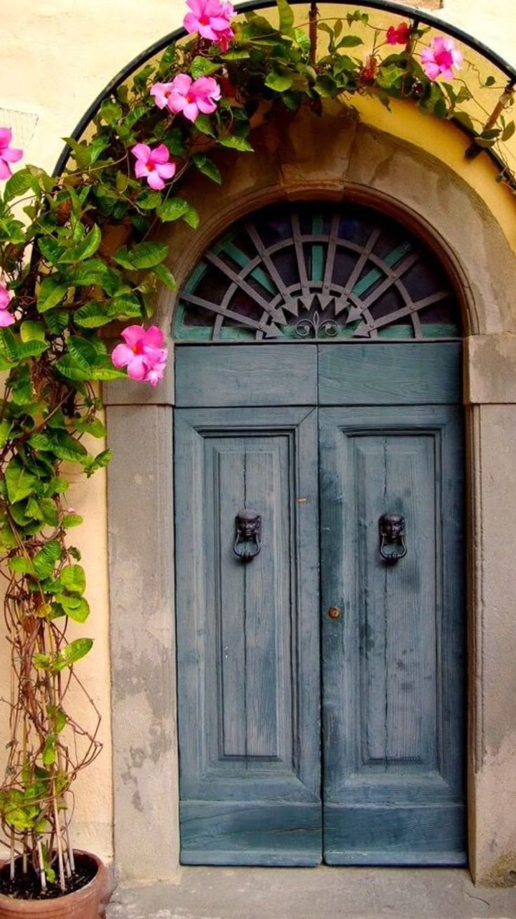 two blue doors with pink flowers growing on the side of them and an arched doorway