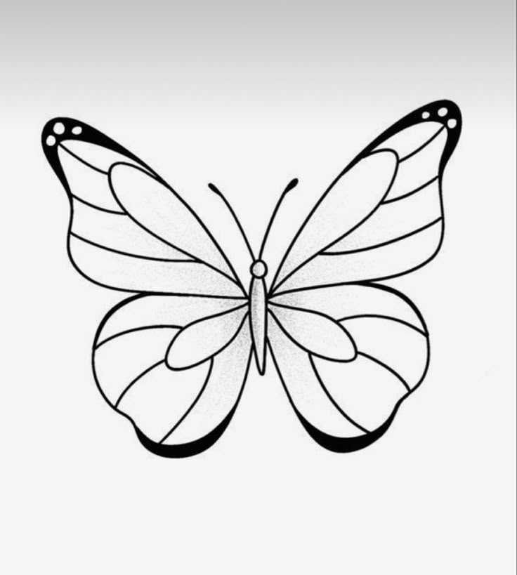 a black and white drawing of a butterfly