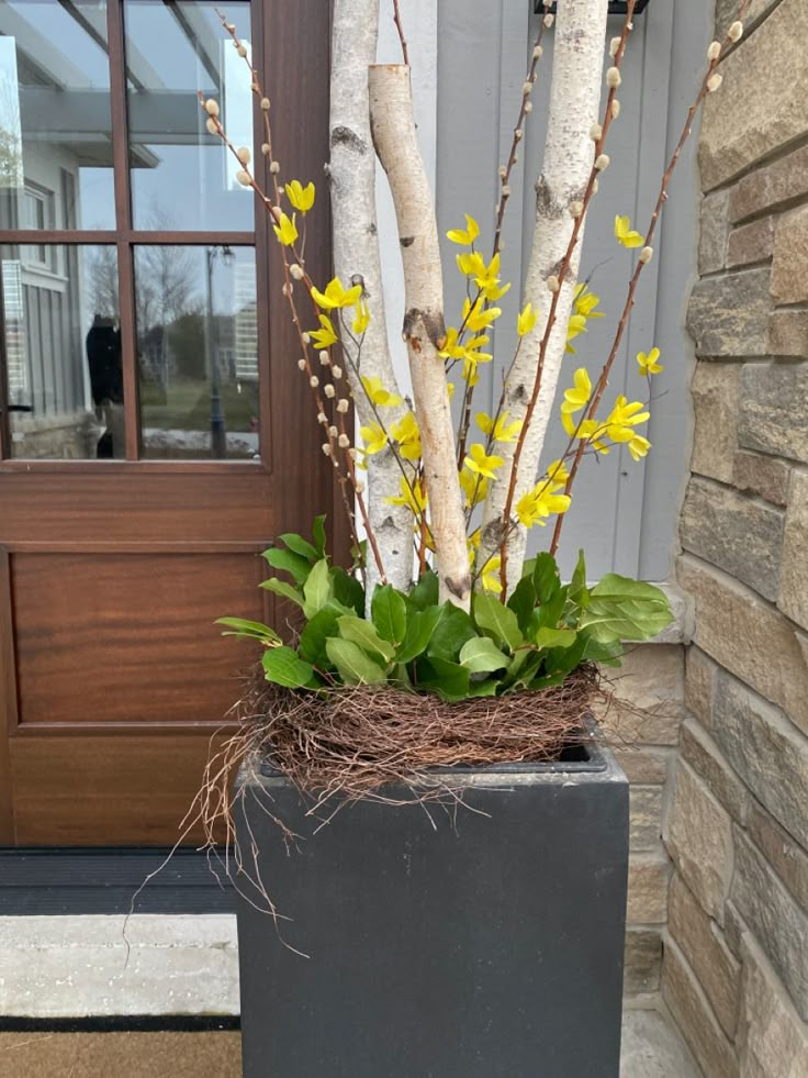 a planter with yellow flowers in front of a door and some branches on the ground