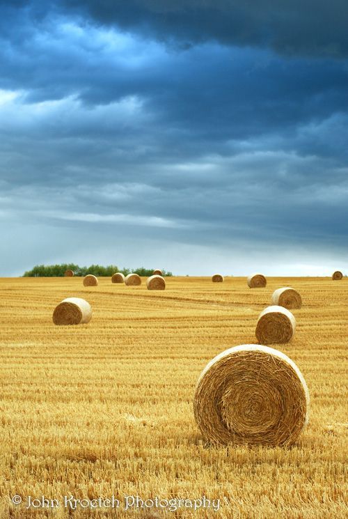 hay bales in a field under a cloudy sky