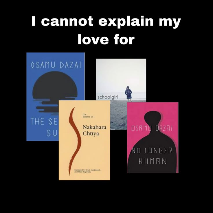 i cannot't explain my love for the novel by nabila ghassa