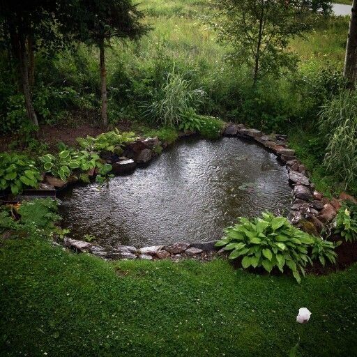 a pond surrounded by lush green grass and trees