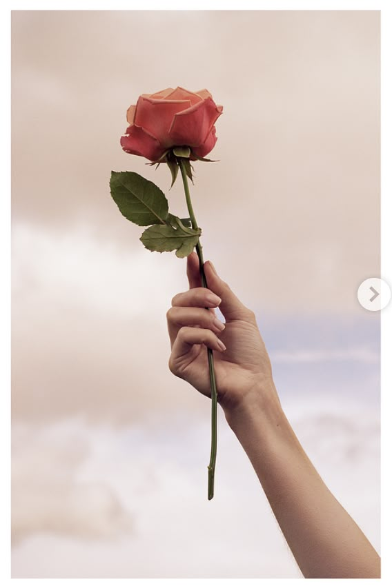 a person's hand holding a single rose up to the sky with clouds in the background