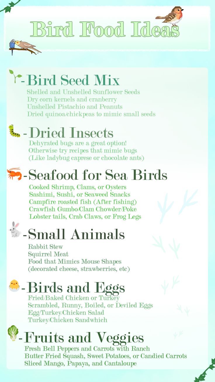 the bird food list is shown in this image