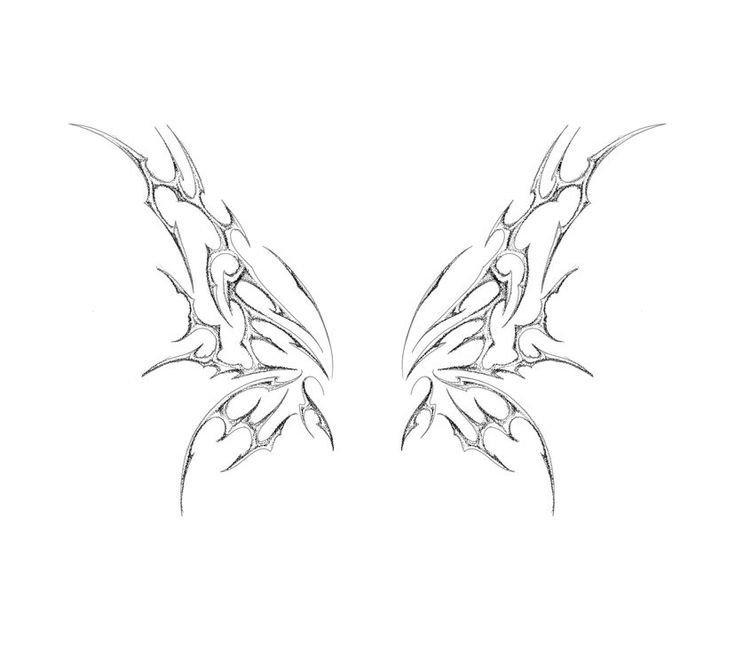 an image of two wings drawn in pencil