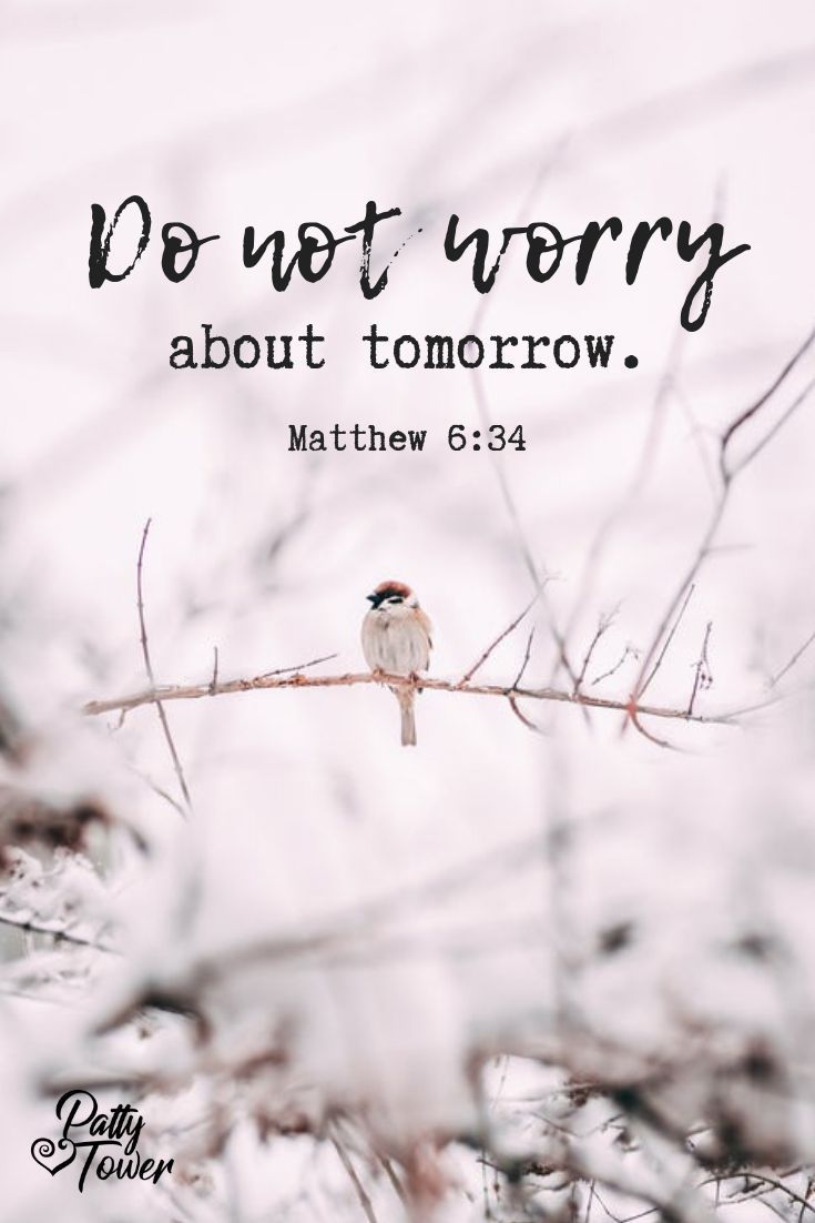 a bird sitting on top of a tree branch with the words do not worry about tomorrow