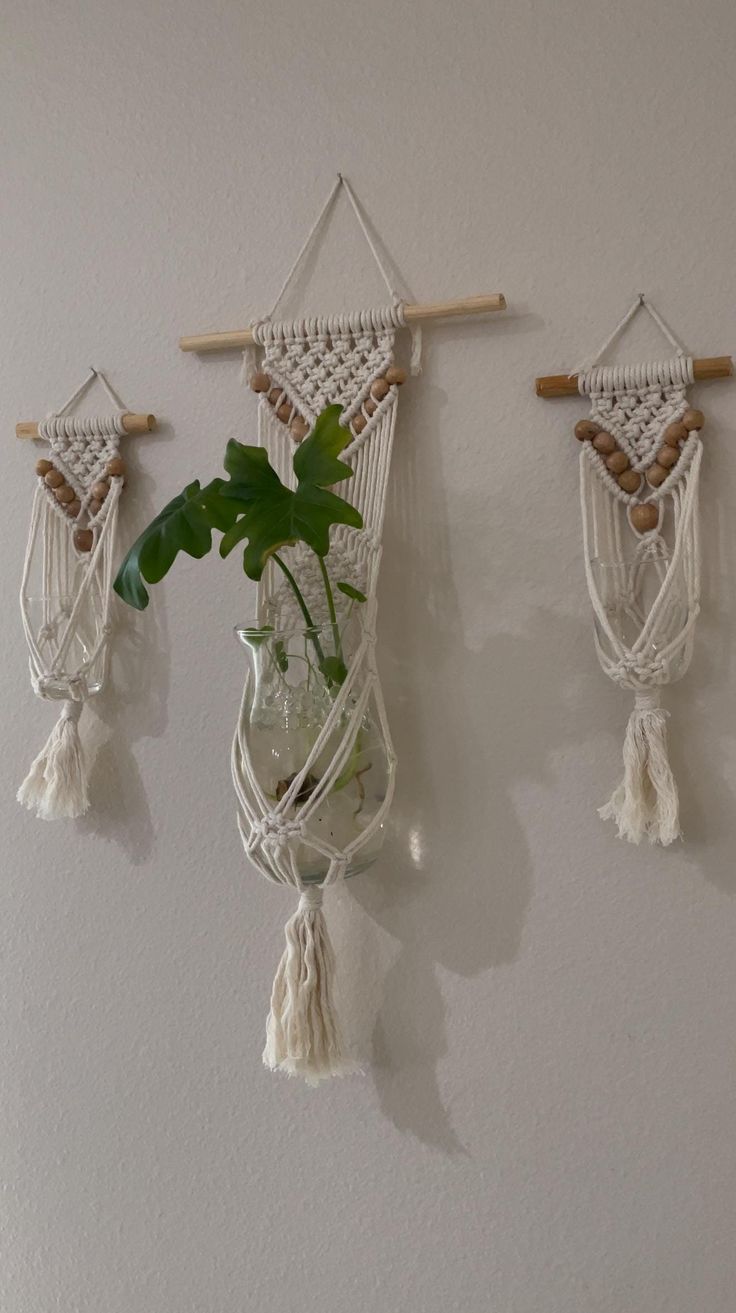 three macrame style wall hangings with plants in the middle and one holding a potted plant