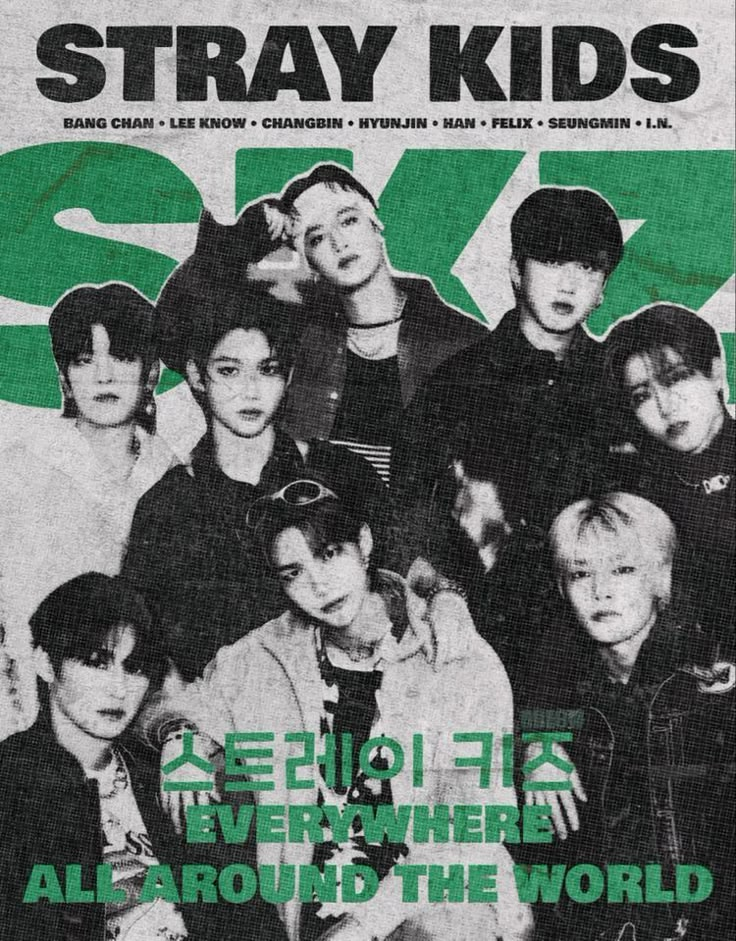 the poster for stray kids'album