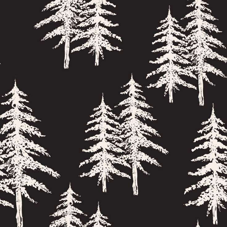 white pine trees on black background