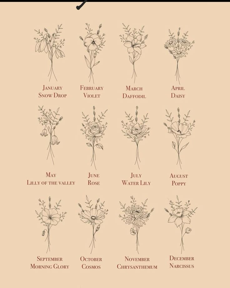 an image of flowers that are labeled in english and spanish language on a beige background