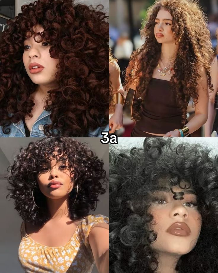 Whats your curly hair type? I seen so many people getting wrong how 3a/3b/3c look like so here you go this how they look like 🫶 #curlyhair #hair #cachos #cabelo #3a #3b #3c Thick 3b Hair, Curly 3a Haircut, 3 B Curly Hair, Curly Hair 3a/3b, 3a 3b Hair, 3 B Hair, 3b Short Hair, Curly Hair 3b/3c, Curly Hairstyles 3b 3c