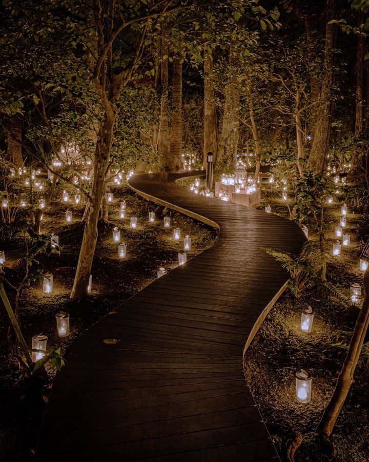 a path in the woods with many lit candles on it and lots of trees around