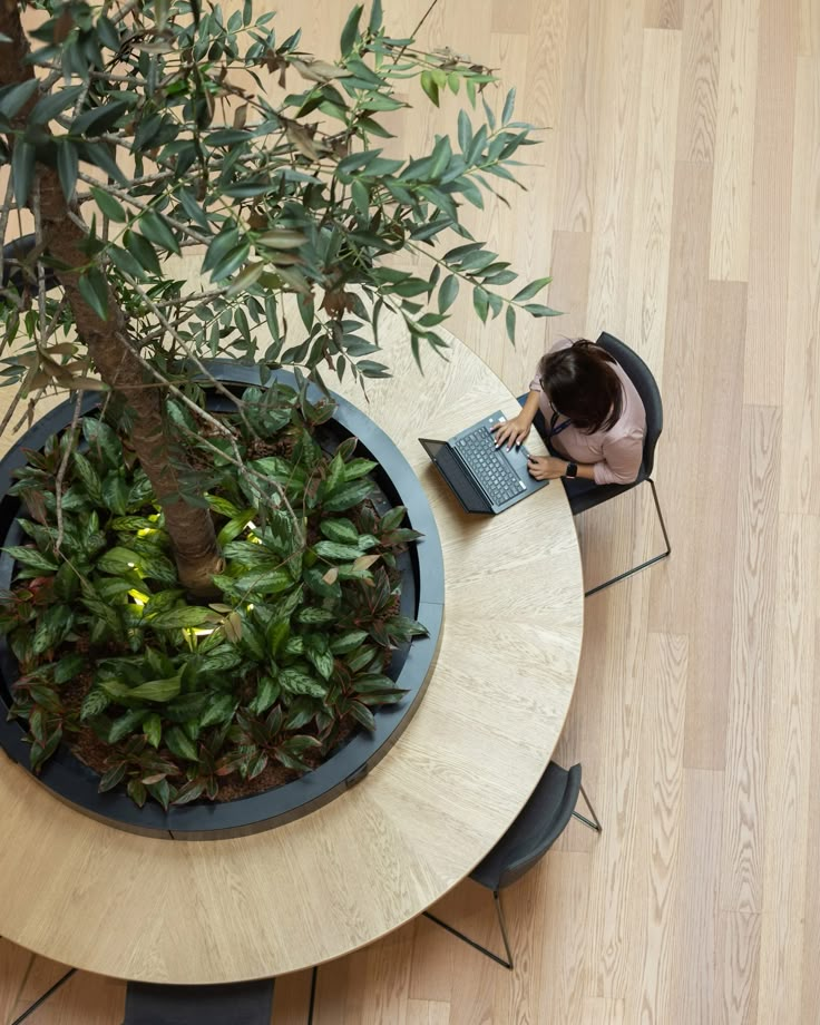 a person sitting at a table with a laptop and potted plant on the side