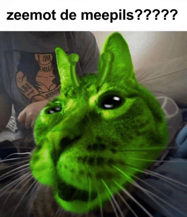 a green cat with its head turned to look like it is looking at the camera