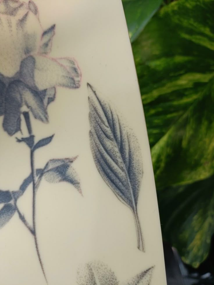 Tattoo dotwork realistic nature basil leaf inspiration tattoos Realistic Leaf Tattoo, Fake Skin Tattoo, Micro Realism, Leaf Tattoo, Fake Skin, Skin Tattoo, Basil Leaf, Tattoo Practice, Realistic Tattoo