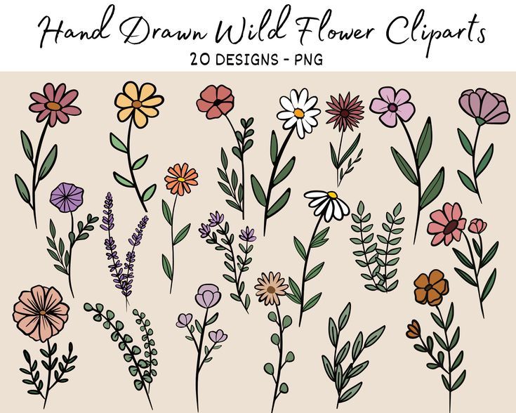 hand drawn wild flower cliparts