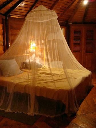 a bed with a mosquito net on top of it