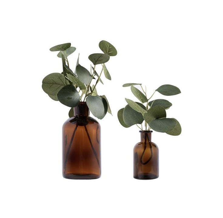 two brown vases with plants in them on a white background, one is empty and the other has green leaves