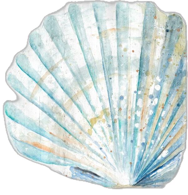 an image of a seashell painted with watercolors