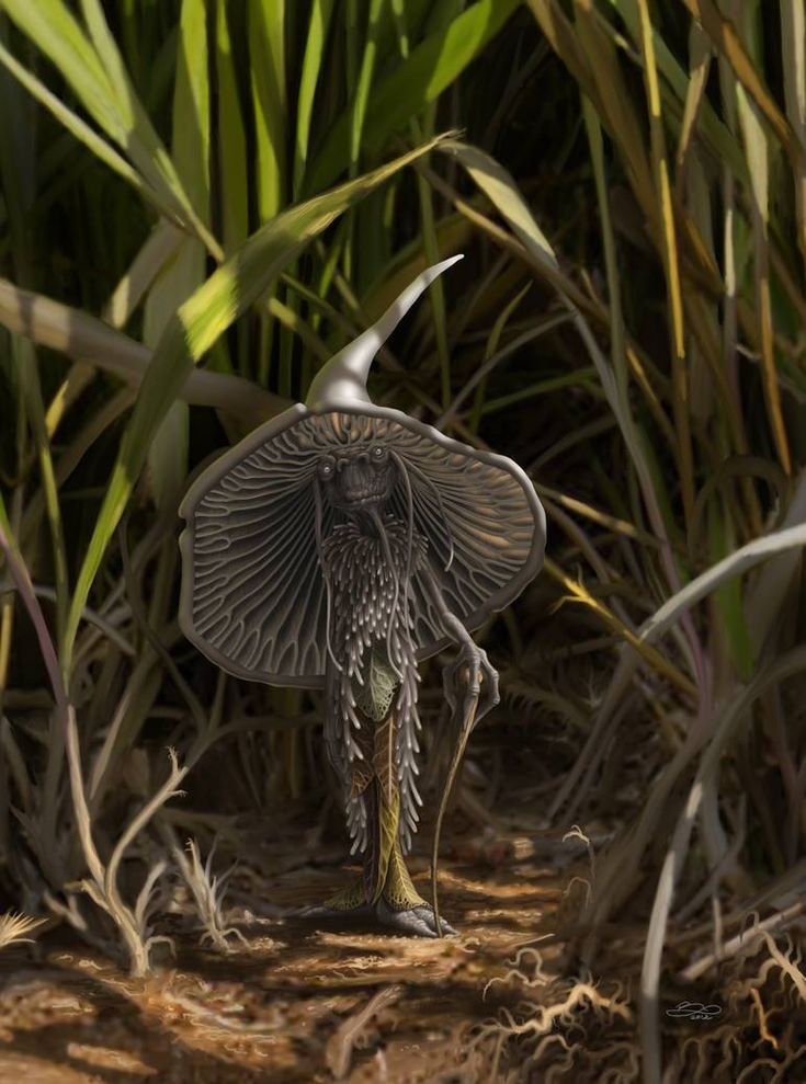 a close up of a bird on the ground near plants