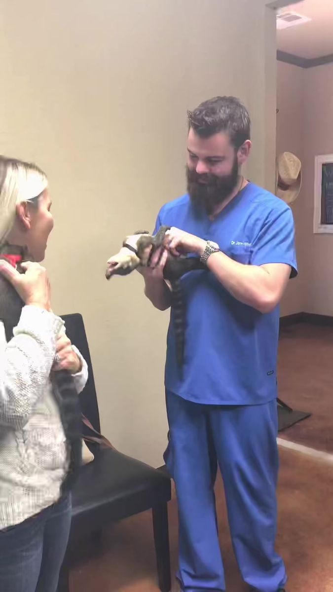 a man in scrubs is holding a snake and talking to a woman with a beard