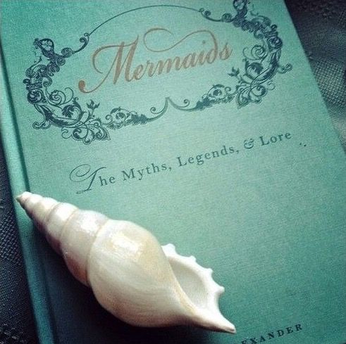 a sea shell sitting on top of a green book